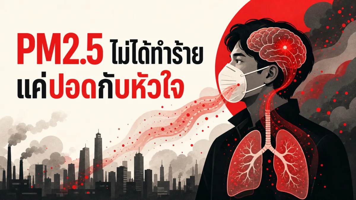 หายใจเอาฝุ่น PM2.5 เข้าไปทุกวัน อาจไม่ได้ทำร้ายแค่ปอดกับหัวใจ แต่เชื่อมโยงกับสมองและใจของคุณด้วย