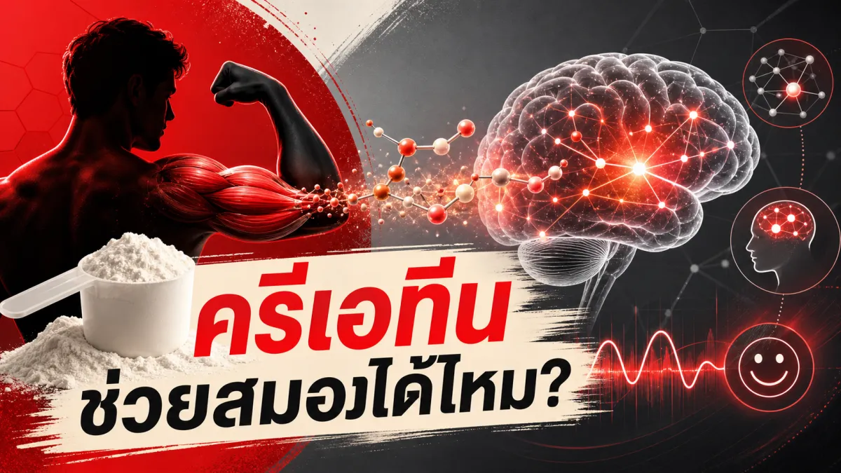 ครีเอทีนไม่ได้มีไว้แค่เพิ่มกล้าม งานวิจัยล่าสุดบอกว่าช่วยเรื่องซึมเศร้าและความจำได้ไหม