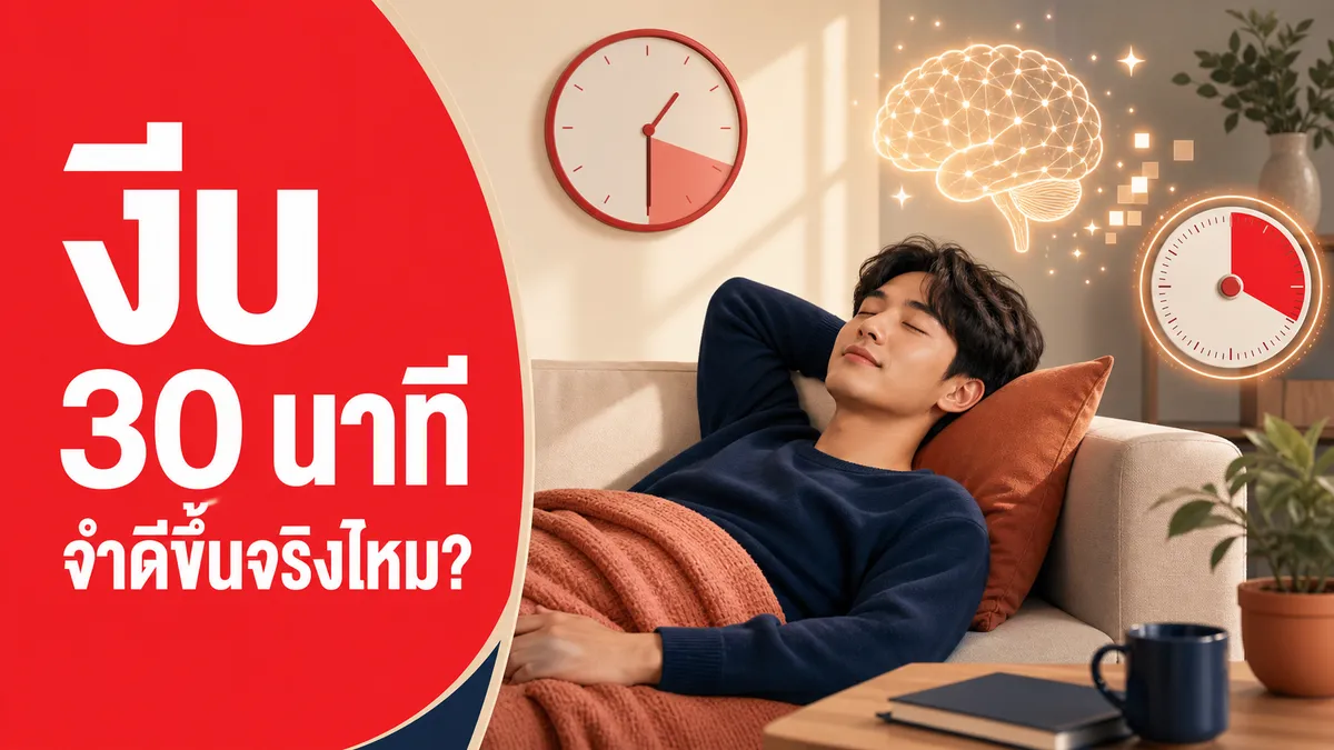 งีบบ่าย 30 นาทีช่วยจำดีขึ้นจริง แต่งีบตอนเช้าและงีบบ่อยเกินไปกลับเชื่อมโยงกับความเสี่ยงเสียชีวิตสูงขึ้น 30% งานวิจัยตั้งแต่คนกว่า 378,000 คนถึงปี 2026 เผยว่า "จังหวะ" ของการงีบสำคัญกว่าที่คิด