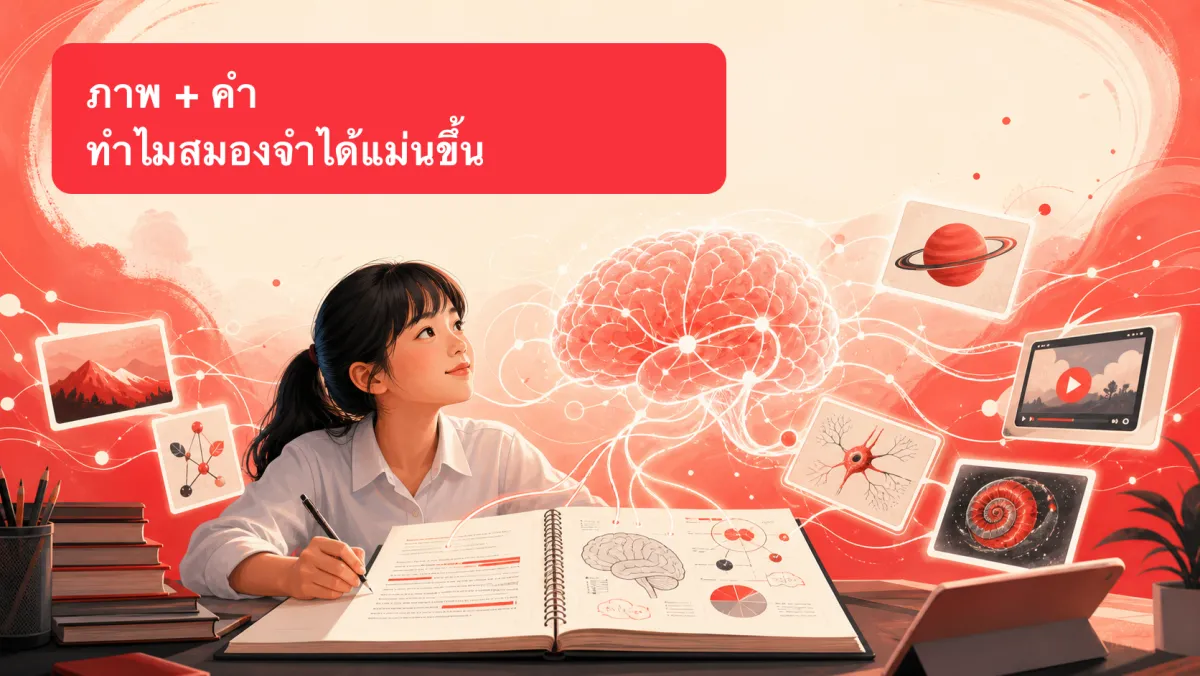 แค่เพิ่มภาพลงไปข้างๆ ตัวหนังสือ ทำไมสมองถึงจำได้แม่นขึ้นจริง