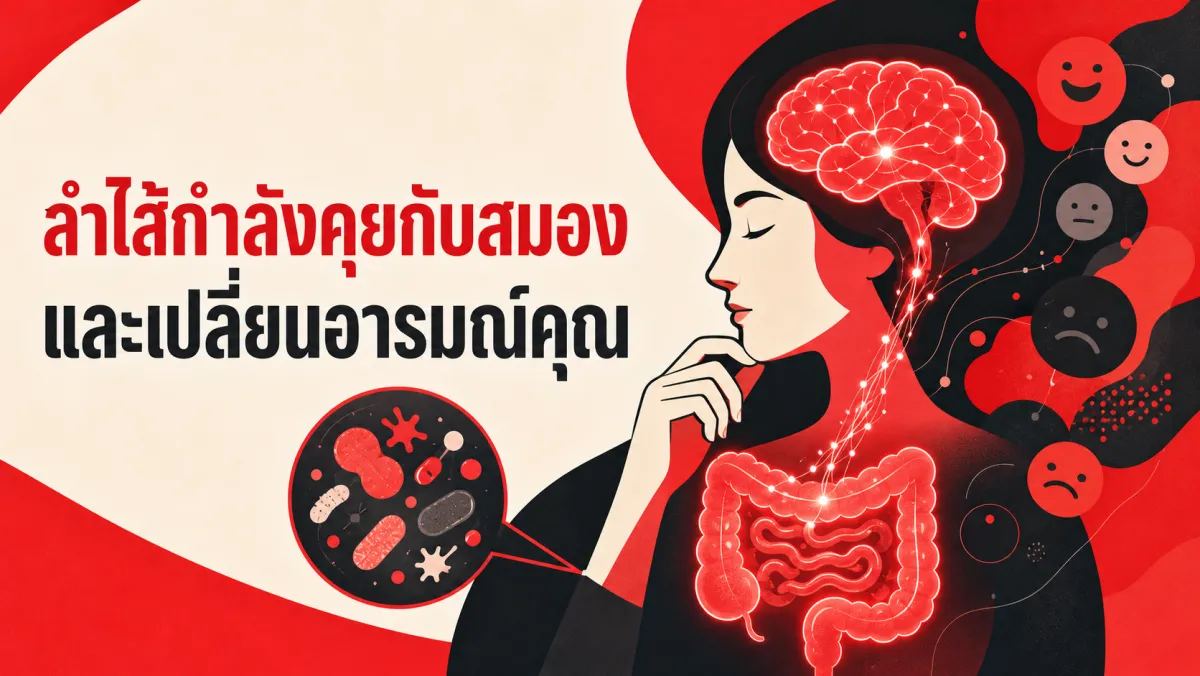 จุลินทรีย์ในลำไส้หลายล้านล้านตัวของคุณ อาจกำลังส่งสัญญาณไปเปลี่ยนอารมณ์ที่สมอง