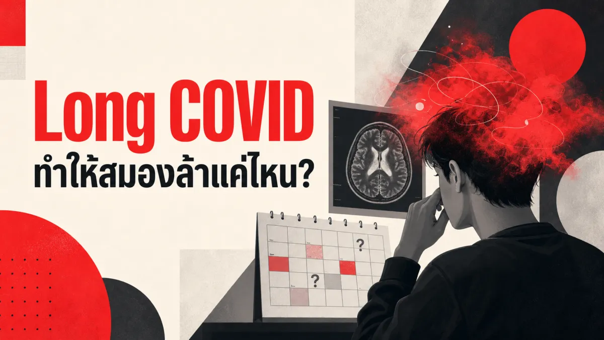 สมองล้าหลังติดโควิดหายเองหรือไม่ ภาพสแกนสมองกว่า 785 คนและงานวิจัยติดตาม 3 ปีเผยคำตอบที่พลิกความเข้าใจเรื่อง Long COVID