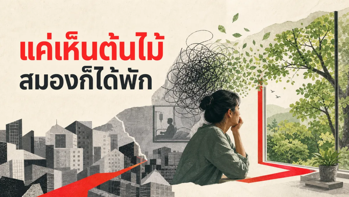 แค่มองเห็นต้นไม้จากหน้าต่างโรงพยาบาล คนไข้ก็หายเร็วขึ้นได้จริง: งานวิจัยเบื้องหลังพลังของธรรมชาติต่อสมองและร่างกาย